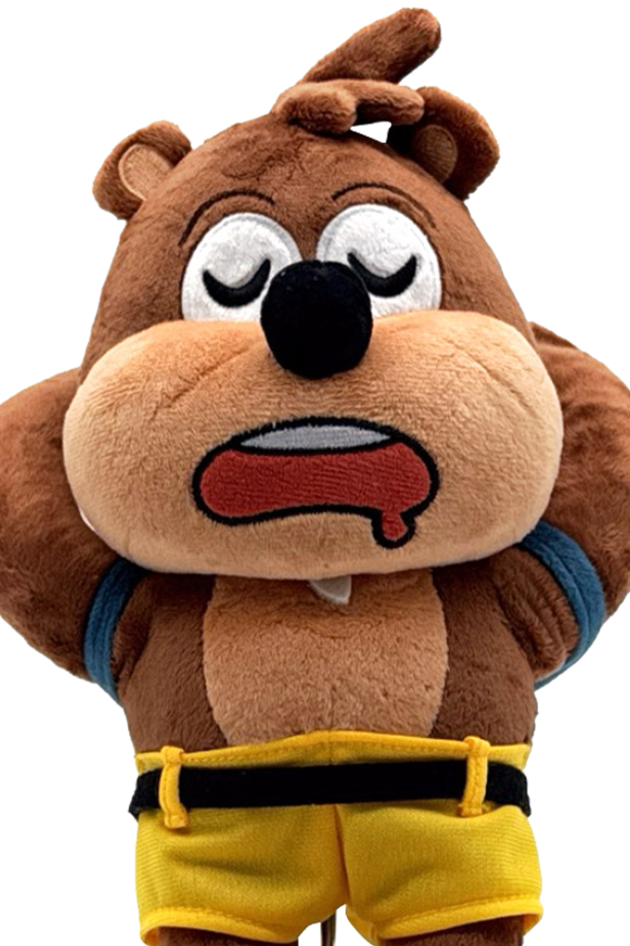 Banjo-Kazooie Sleep Plush by Youtooz (9in)