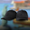  Promo Banner